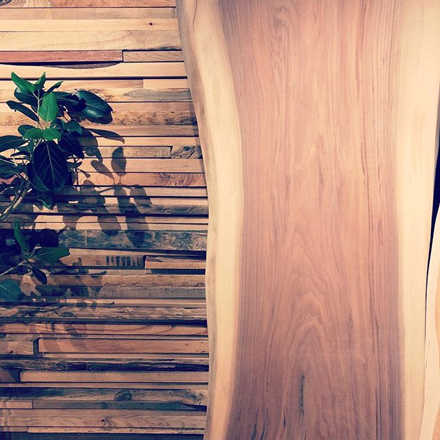 ハナレアルタナでは、天然木一枚板オーダーテーブルの展示販売をしています。塗装前の一枚板それぞれの表情、カタチ、手触り、サイズを比較、塗装と脚を選択して一点モノのインテリアコーディネートをお愉しみください。写真は、ゆるくカーブしたラインが美しい展示中のブラックウォールナット一枚板。