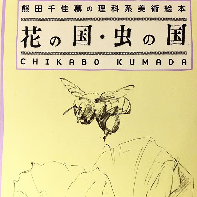 熊田千佳慕さんの美術絵本 繊細なタッチで描かれた花や虫が印象深い作品！ 他にも野の花・花の風の美術絵本もあります！ アルタナカフェは本日も10時よりオープンします(^^)