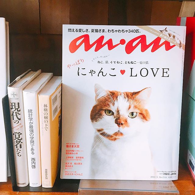 にゃんこ♡LOVE アルタナカフェでは様々な本や雑誌をご用意しております！ ねこ様に癒されながらゆっくりされてはいかがでしょうか？ アルタナカフェは本日も10時から17時までのオープン！