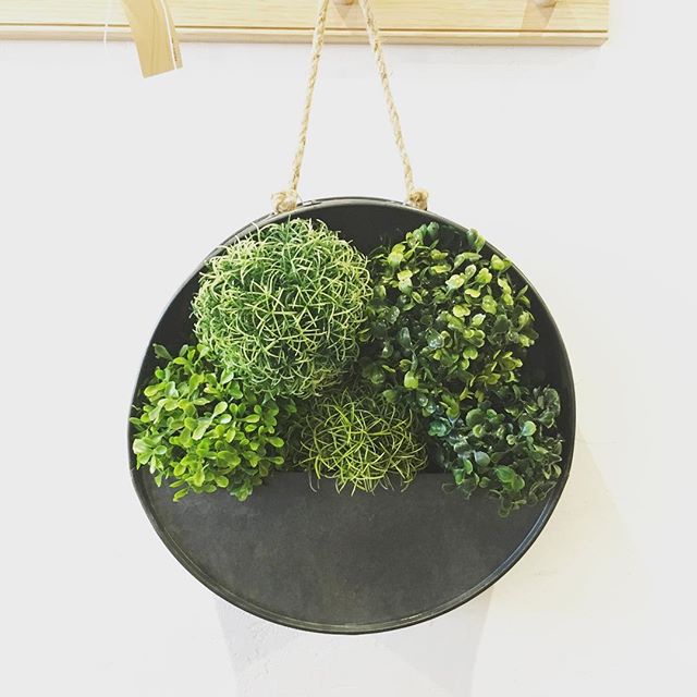 ◆本日限定SALE！<br />
.<br />
・adepeche galvo circle planter M<br />
定価¥2,700+tax<br />
→30%OFF！¥1,890+tax<br />
.<br />
シャビーシックなプランター。<br />
ブリキと麻ひもの組み合わせが<br />
無骨で"男前"な印象。<br />
磁石をつけることができるので、<br />
ポストカードやメモを貼り付けても◎<br />
.<br />
テーブルマーケット限定の特別セールです！<br />
※店頭販売のみとなります。<br />
.