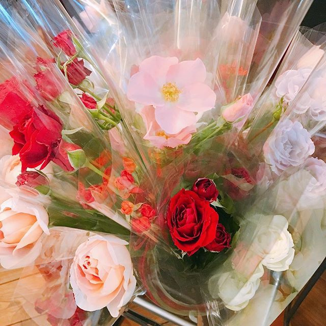 大井川の薔薇農家さん直送の薔薇販売しております<br />
<br />
1束100yen+tax<br />
<br />
アルタナカフェは本日も10時から17時までのオープンです(^^)