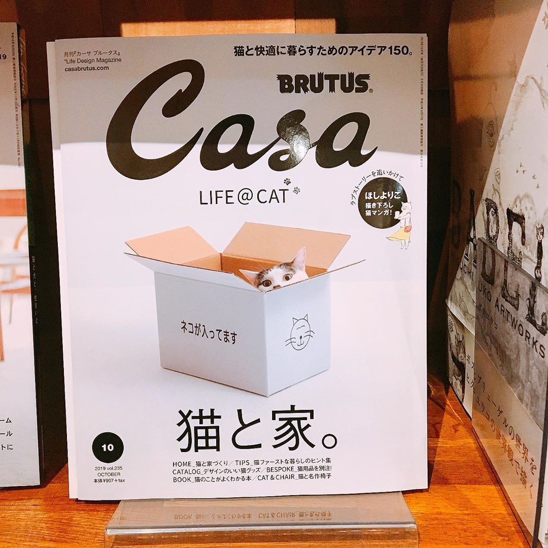 猫と一緒に快適に暮らせるアイデアやグッズなど紹介されています 猫を飼っている方 猫好きな方にオススメです アルタナカフェは本日16時までの営業とさせていただきます Altana アルタナ 或る棚