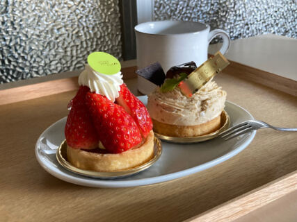 【樹木のヒトリゴト】12月の楽しみ